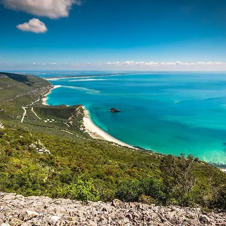 Bay Of *